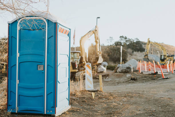 Best Sanitation services for porta potties  in Holmen, WI